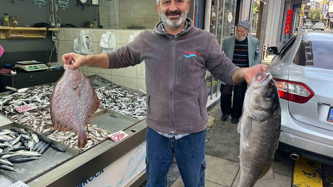 Düzce Akçakoca'da 7,5 Kilogram Levrek ve Kalkan Balığı Kilosu Bin Liradan Satışta