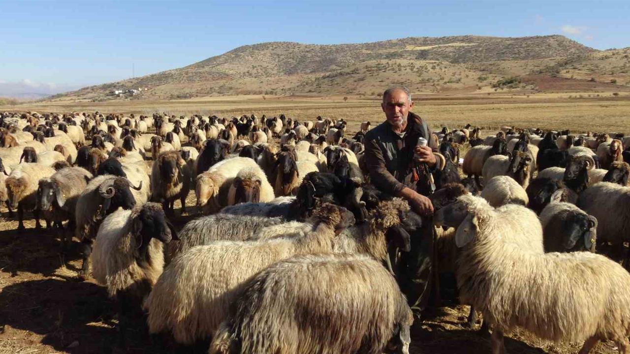Batman Gercüş'te Göçerlerin Zorlu Yolculukları Başladı