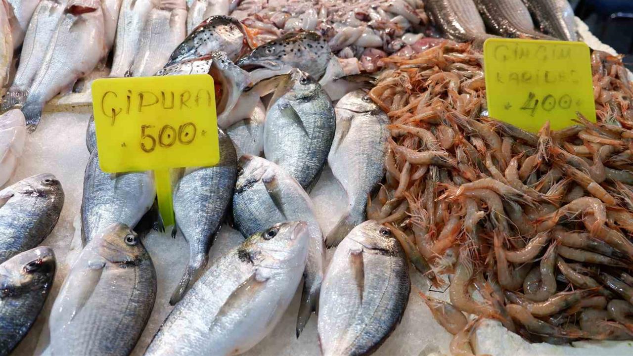 İzmir Foça'da Kış Döneminde Sardalya ve Uskumru İle Balık Çeşitliliği Artıyor