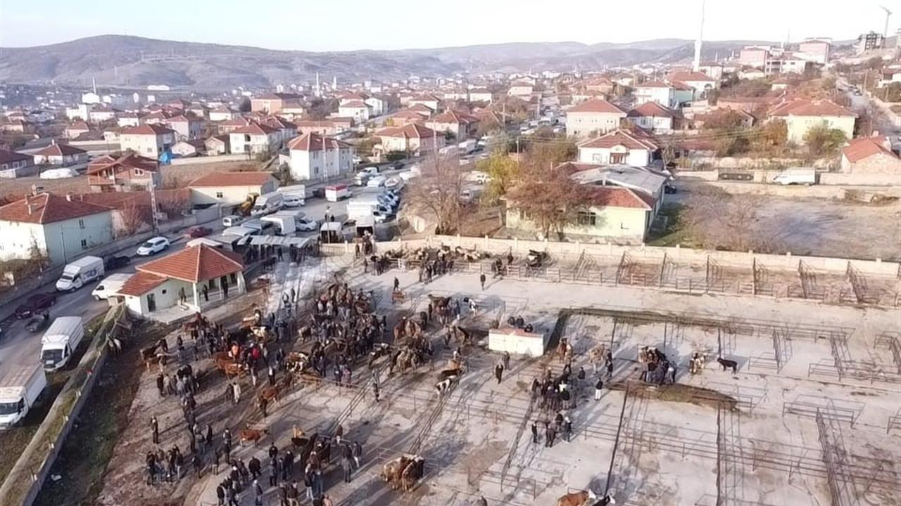 Yozgat Çekerek'te Kapalı Olan Hayvan Pazarı 22 Kasım'da Yeniden Faaliyete Geçti