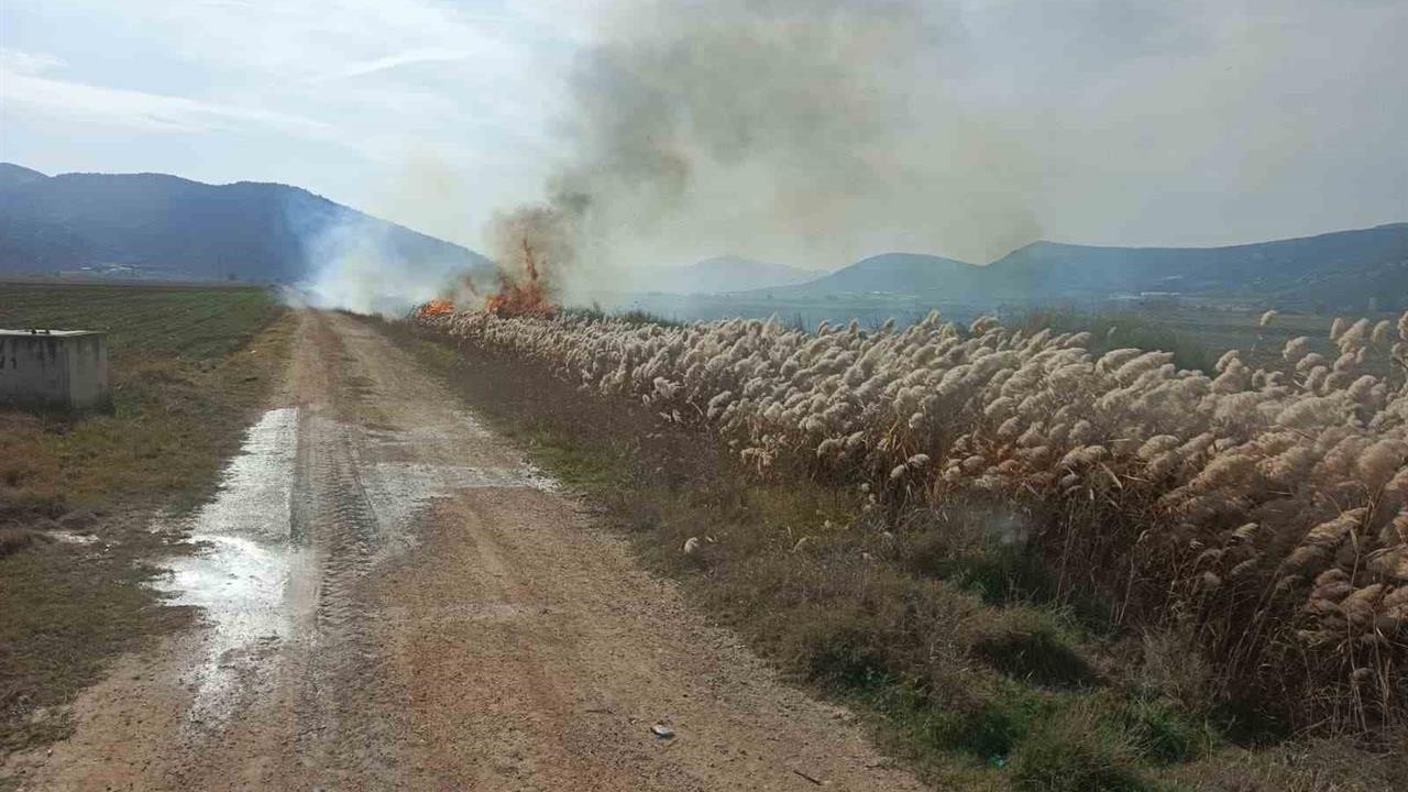 Bucak İncirdere Köyü'nde Sazlık Alanda Yangın Çıktı, İtfaiye Müdahale Etti