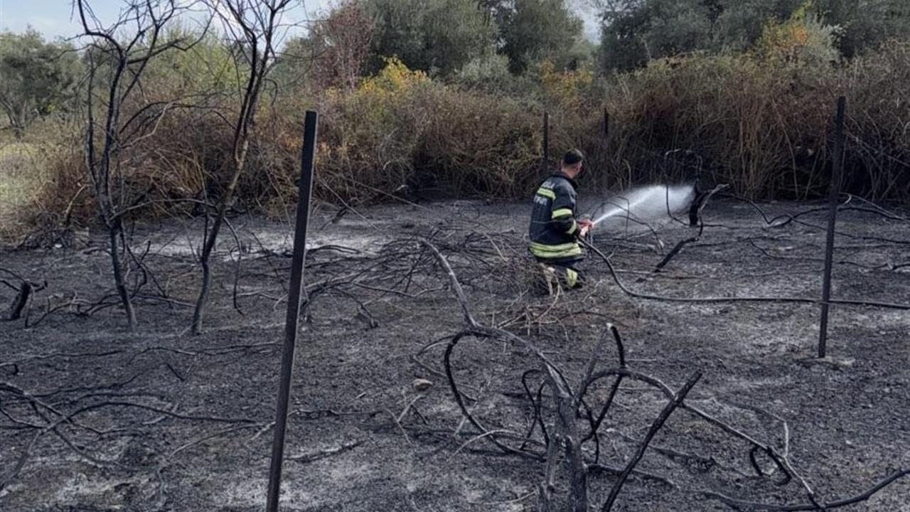 Muğla Yatağan'da Çıkan Yangında Üzüm Bağları Zarar Gördü