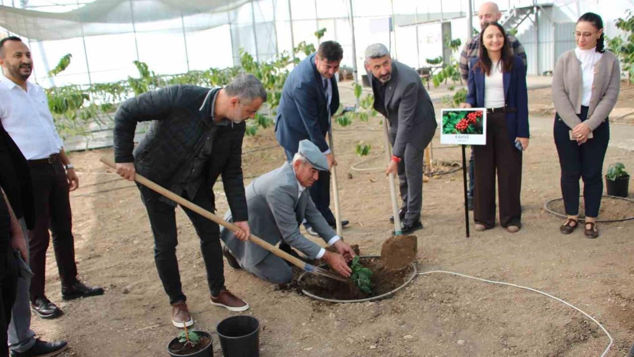 Kumluca'da Kahve Fidanı Dikimi Gerçekleştirildi