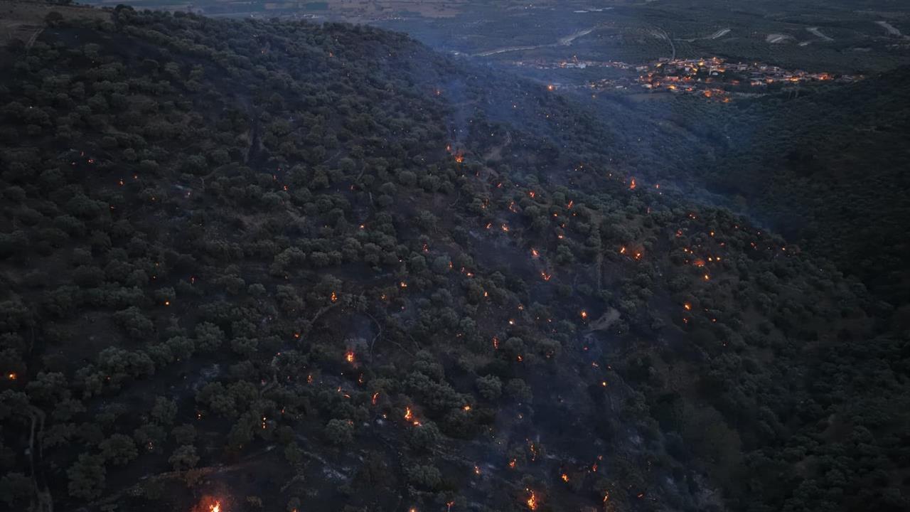 Aydın Bozdoğan'da Zirai Alanda Başlayan Yangın Kontrol Altına Alındı