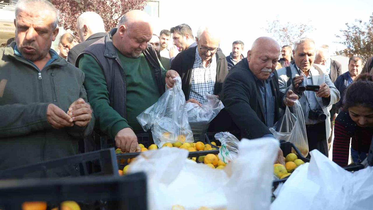 Hatay'da Mandalina Fiyatlarının 2 TL'ye Düşmesiyle Üreticiler Ürünlerini Ücretsiz Dağıttı