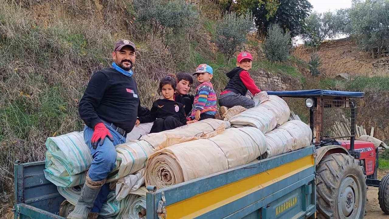 Sarıgöl'de Hasat Tamamlandı, Örtü Toplama Çalışmaları Başladı