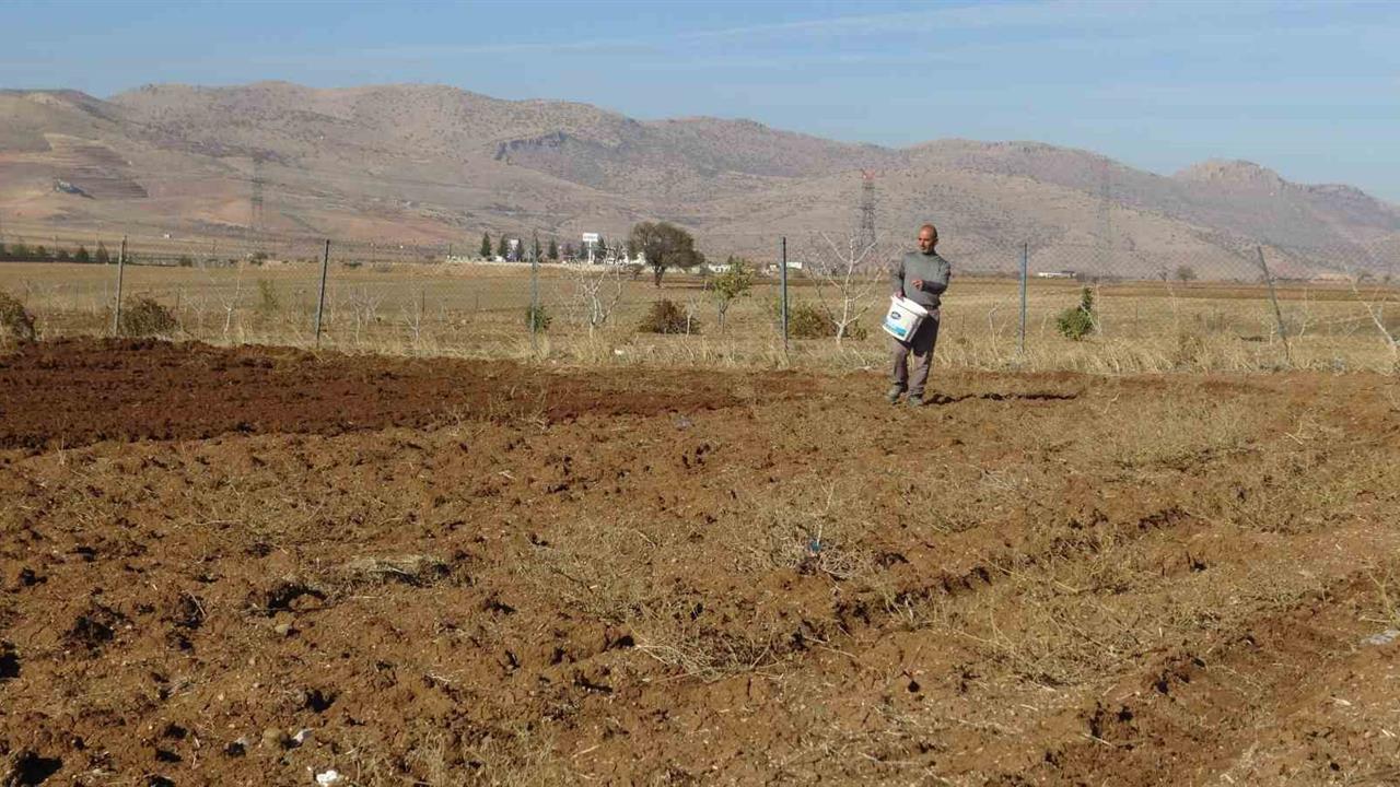 Batman Gercüş'te Çiftçiler Kış Üretimi İçin Tohumları Toprakla Buluşturuyor