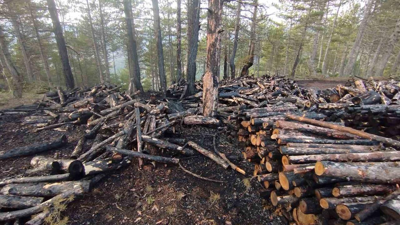 Çorum İskilip'te Kesim Alanında Çıkan Yangında 80 Ster Ağaç Zarar Gördü