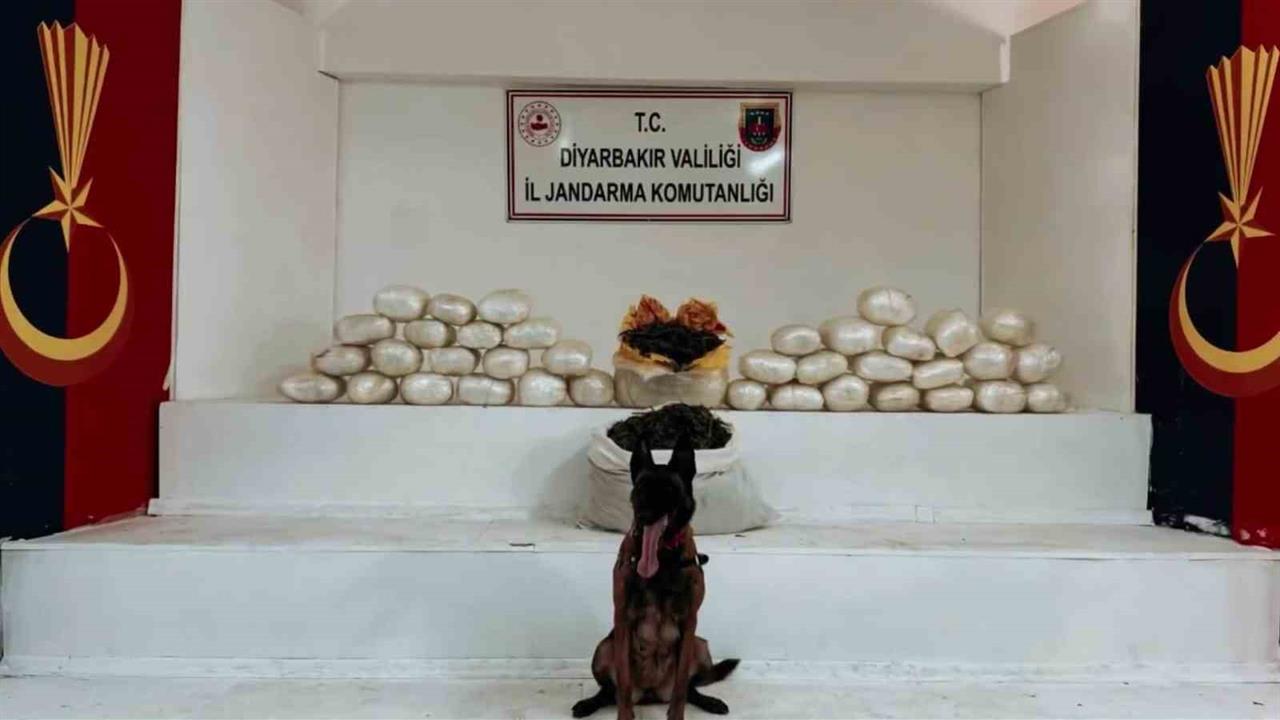 Diyarbakır Lice'de Jandarma Tarafından Yapılan Operasyonda 470 Kilo Skunk ve 85 Kilo Esrar Ele Geçirildi