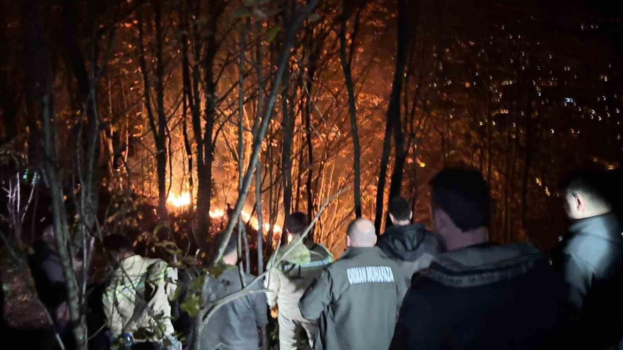 Ordu Kumru'da Ormanlık Alanda Çıkan Yangına Ekipler Müdahale Ediyor