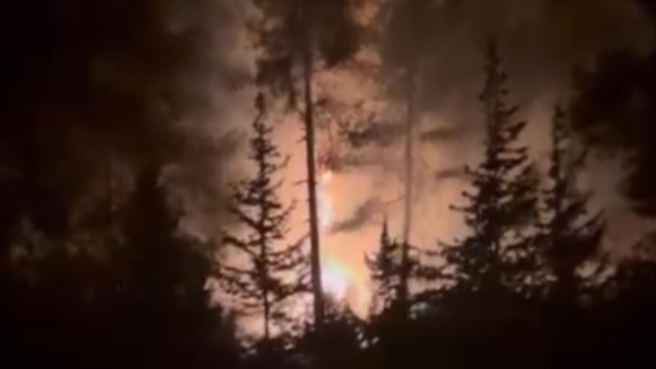 Toroslar Değirmendere’de Orman Yangını: İtfaiye ve Köylüler El Ele Verdi