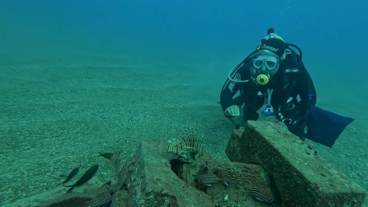 Antalya'da Yapay Resif Projesi ile 12 Balık Türü Yaşıyor