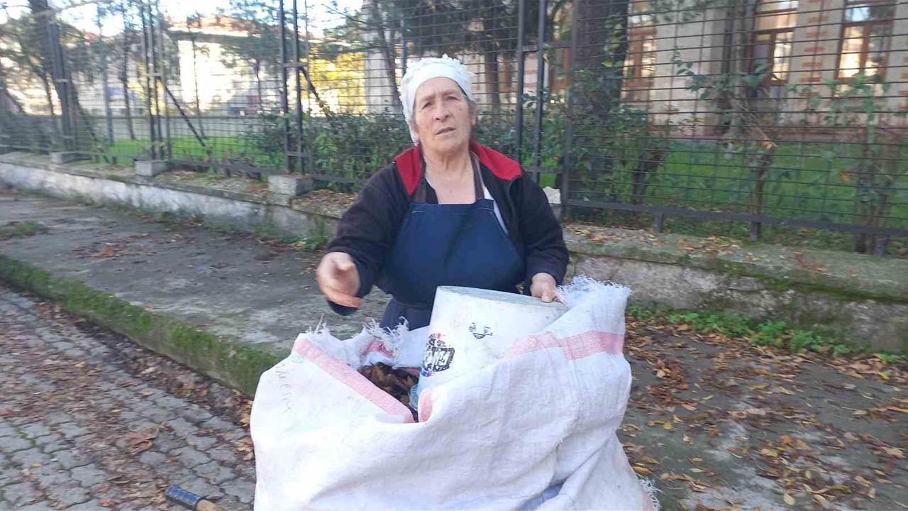 Edirne'de Yaşayan Cemile Kayaoğlu, 34 Yıldır Düşen Yaprakları Gübreye Dönüştürüyor