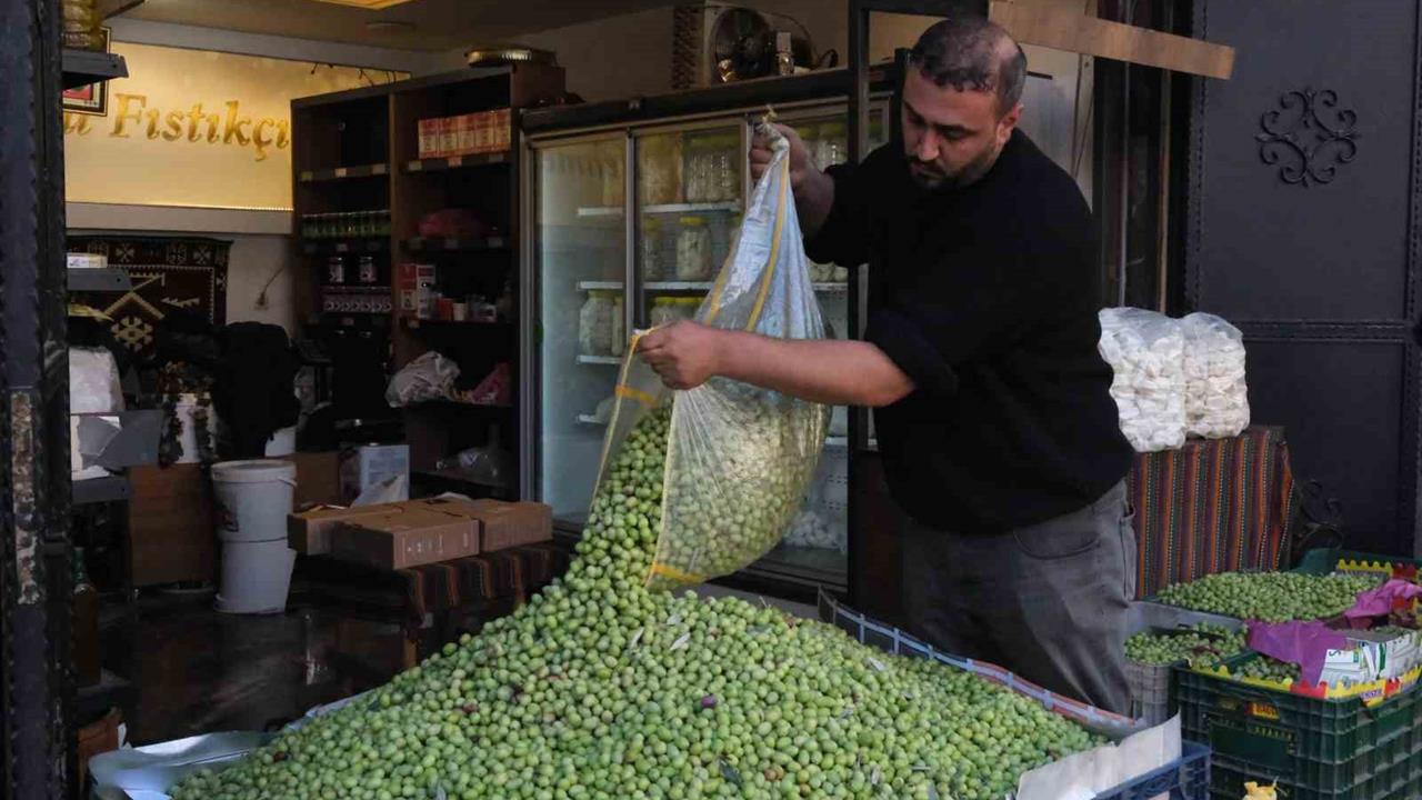 Gaziantep'te Yeşil Zeytin Fiyatları Sabit Kaldı, Üretim Düşüşü Yaşanıyor