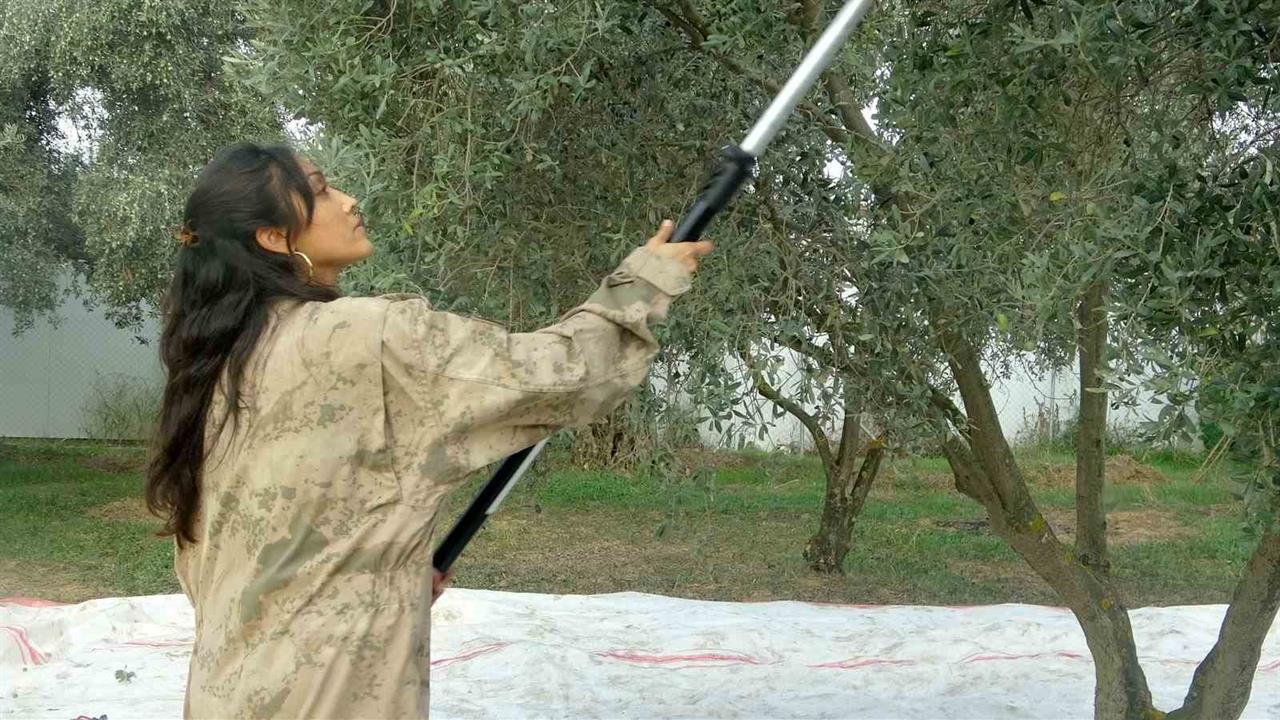 Muğla'da Genç Kadın Çiftçi Gül Dural, Tarımda Huzur Buldu ve Ailesine Destek Oluyor