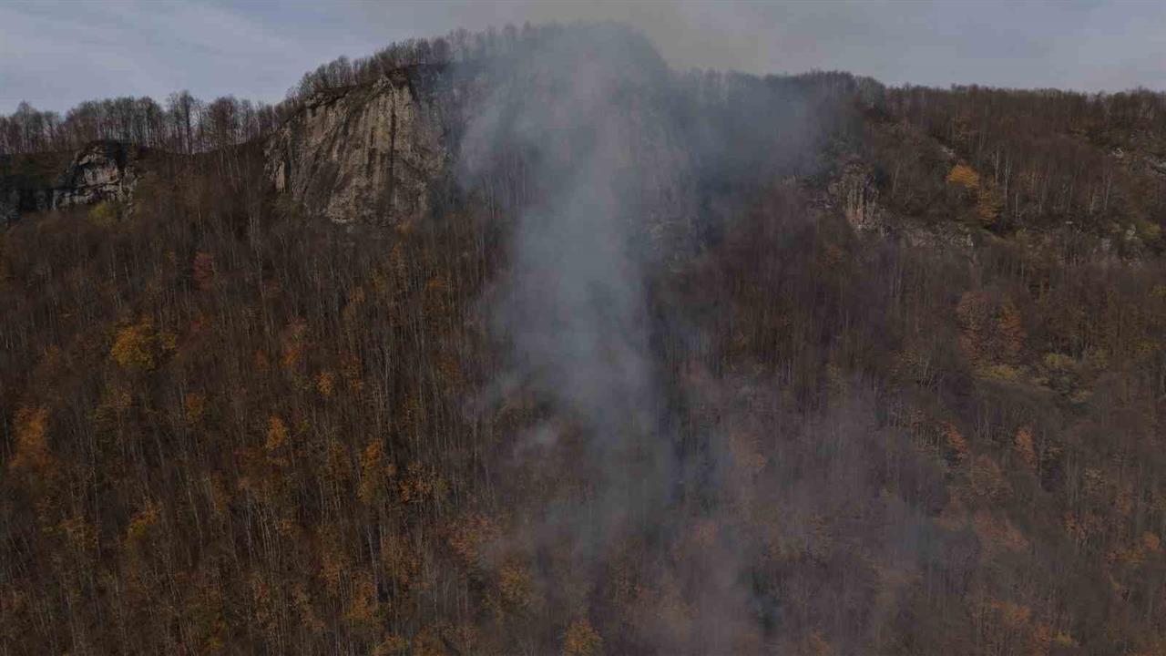 Ordu Kumru'da Ormanlık Alanda Yangın Kontrol Altına Alındı