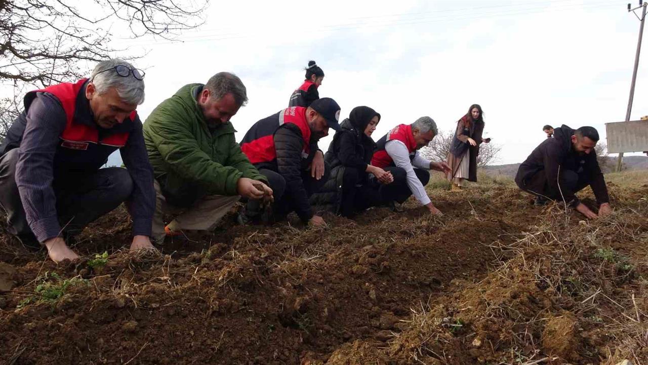 Kastamonu'da 38 Bin Fide Kadın Girişimcilere Ücretsiz Olarak Dağıtıldı