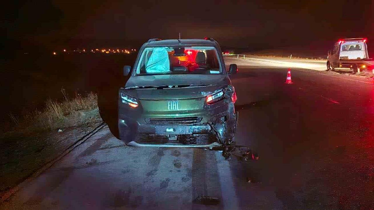 Çorum Alaca'da Yola Çıkan Dana, İki Aracın Çarpışmasına Neden Oldu