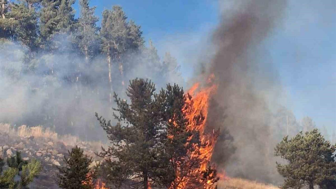 Erzurum Şenkaya'da Çıkan Orman Yangınlarında İki Nokta Kontrol Altında