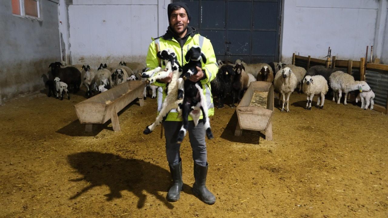 Erzincan'da Üretici, Yüzde 50 Hibe Destekleriyle 8 Milyon TL'lik Çiftlik Kurdu