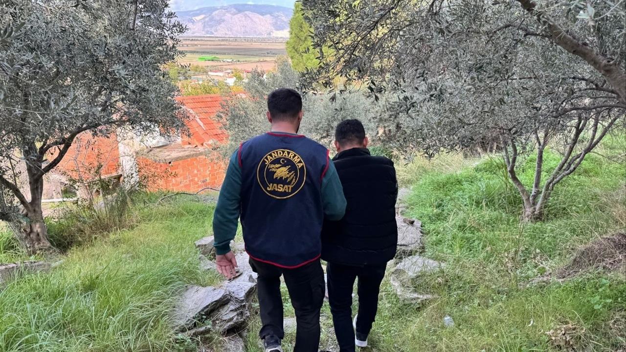 Aydın Söke'de Ormanlık Alanda Saklanan Firari Şahıs Jandarma Tarafından Ele Geçirildi