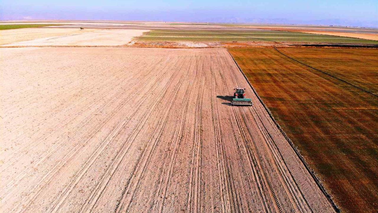 Konya Ovası'nda Kıraç Alanlarda Yağışların Az Olması Çiftçileri Tedirgin Ediyor