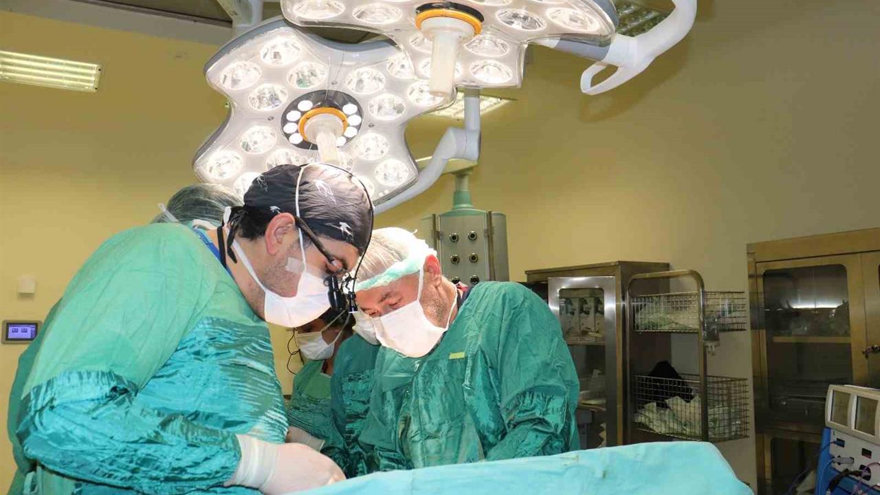 Şanlıurfa'da Hasta Kadının Karnından 15 Kilo 800 Gram Tümör Çıkarıldı