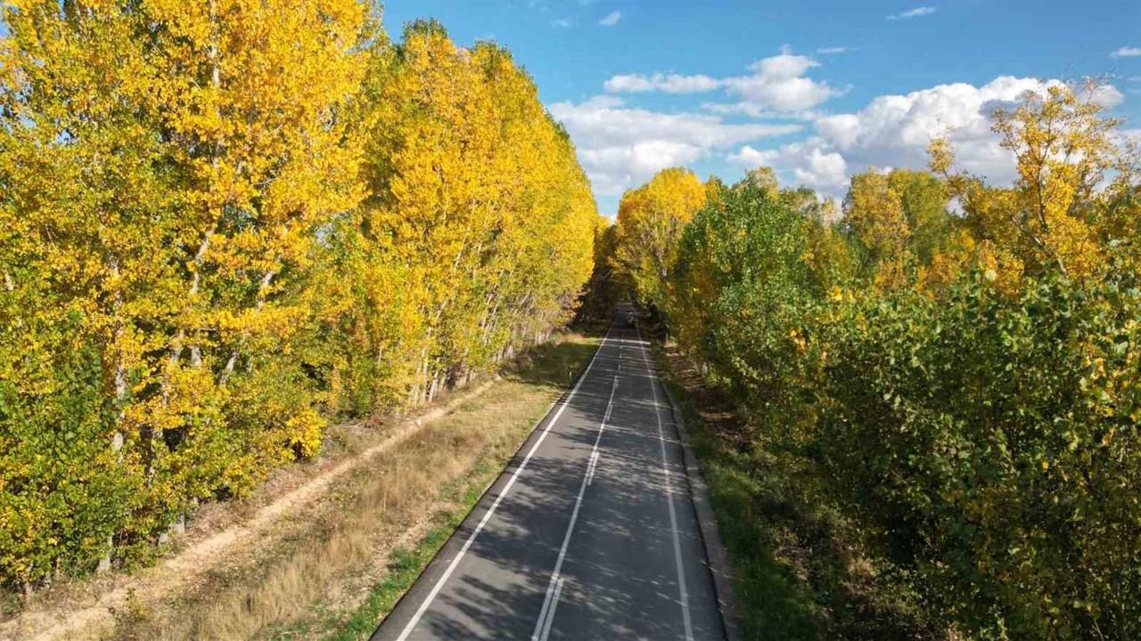 Tokat Merkez'de Parklarda Dökülen Yapraklar Renk Cümbüşü Oluşturdu