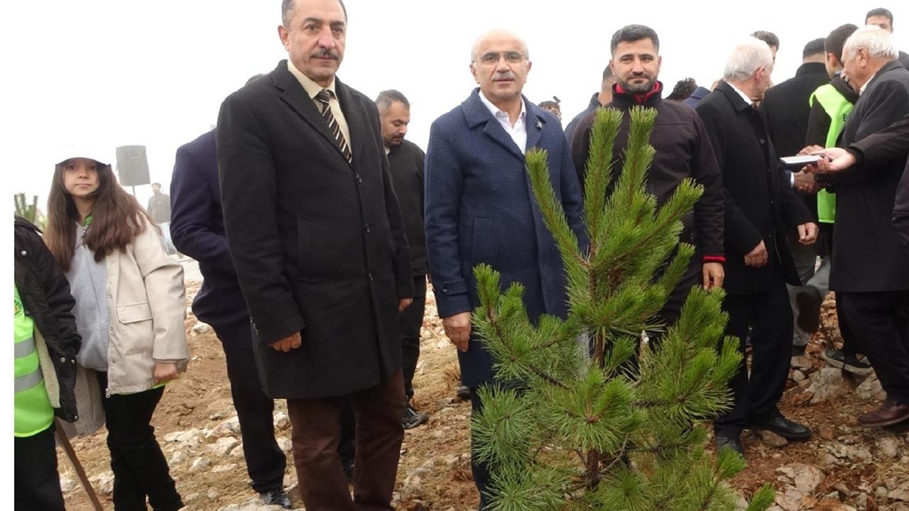 Malatya Beydağı'nda Ağaçlandırma Projesi Kapsamında 10 Bin 444 Fidan Dikildi