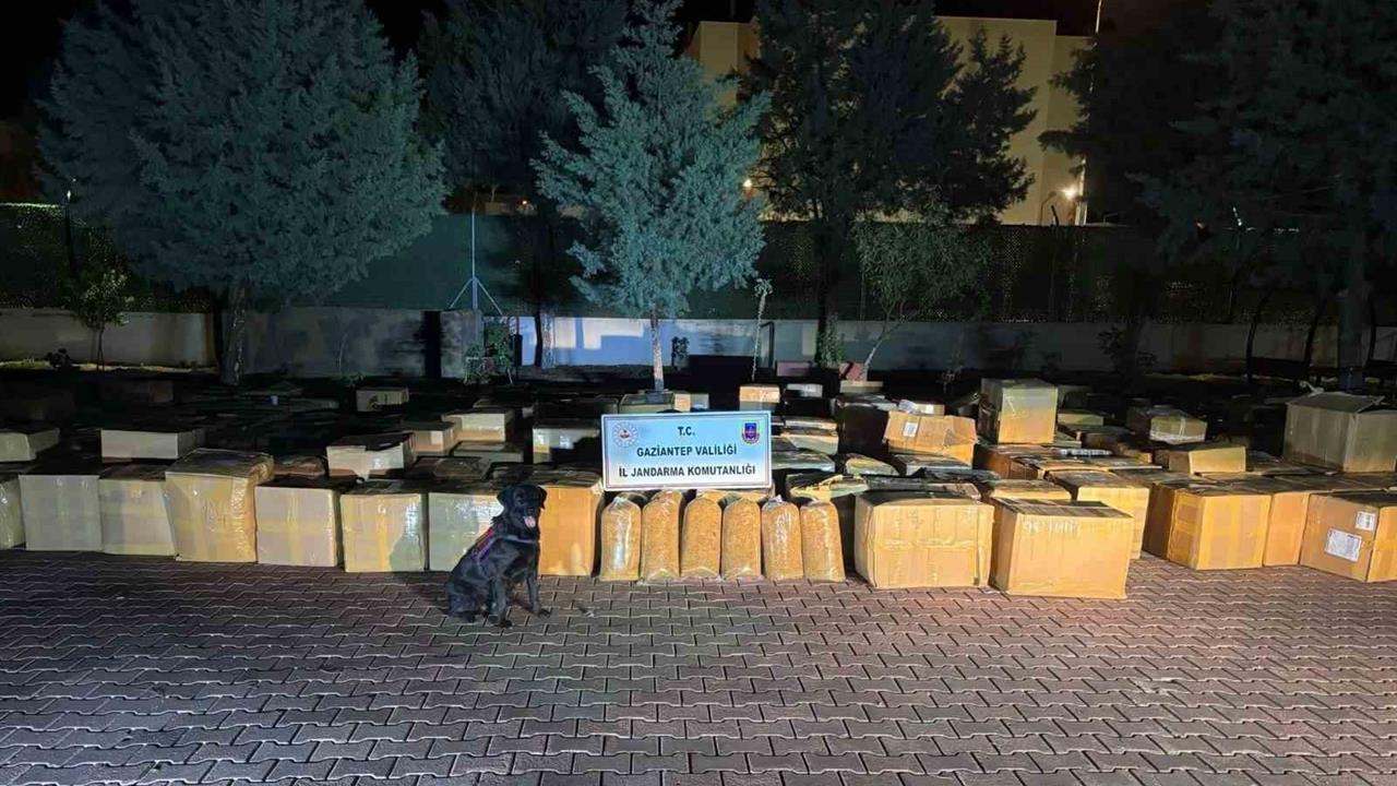 Gaziantep Araban'da 7 Ton Kaçak Tütün Ele Geçirildi, 1 Gözaltı