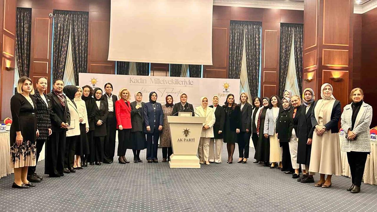 Ankara'da AK Parti Kadın Kolları Başkanı Ercan, kadın ve çocuklara yönelik şiddete karşı uluslararası toplumun acilen harekete geçmesi gerektiğini belirtti.