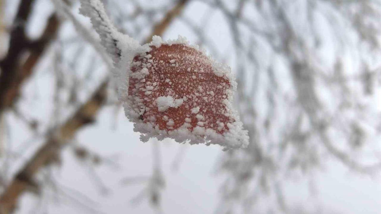 Ardahan Göle'de Hava Sıcaklığı Eksi 14,6 Dereceye Düştü