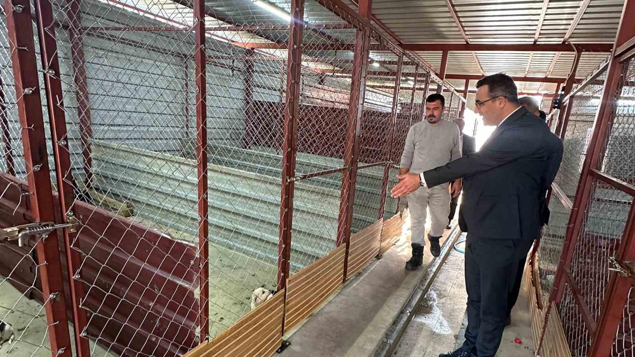 Manisa Sarıgöl'de Sokak Hayvanlarının Bakım Evi Ziyaret Edildi