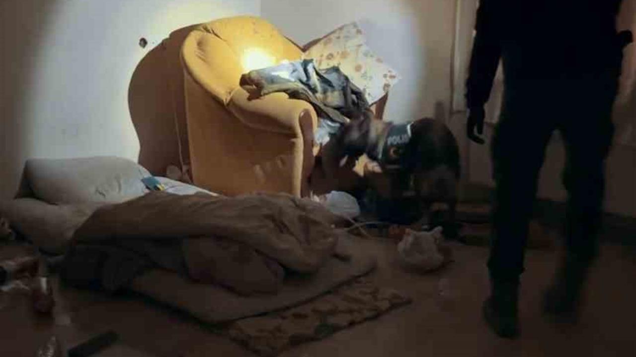 Muş Merkez'de Gerçekleştirilen Uyuşturucu Operasyonunda İki Kişi Tutuklandı