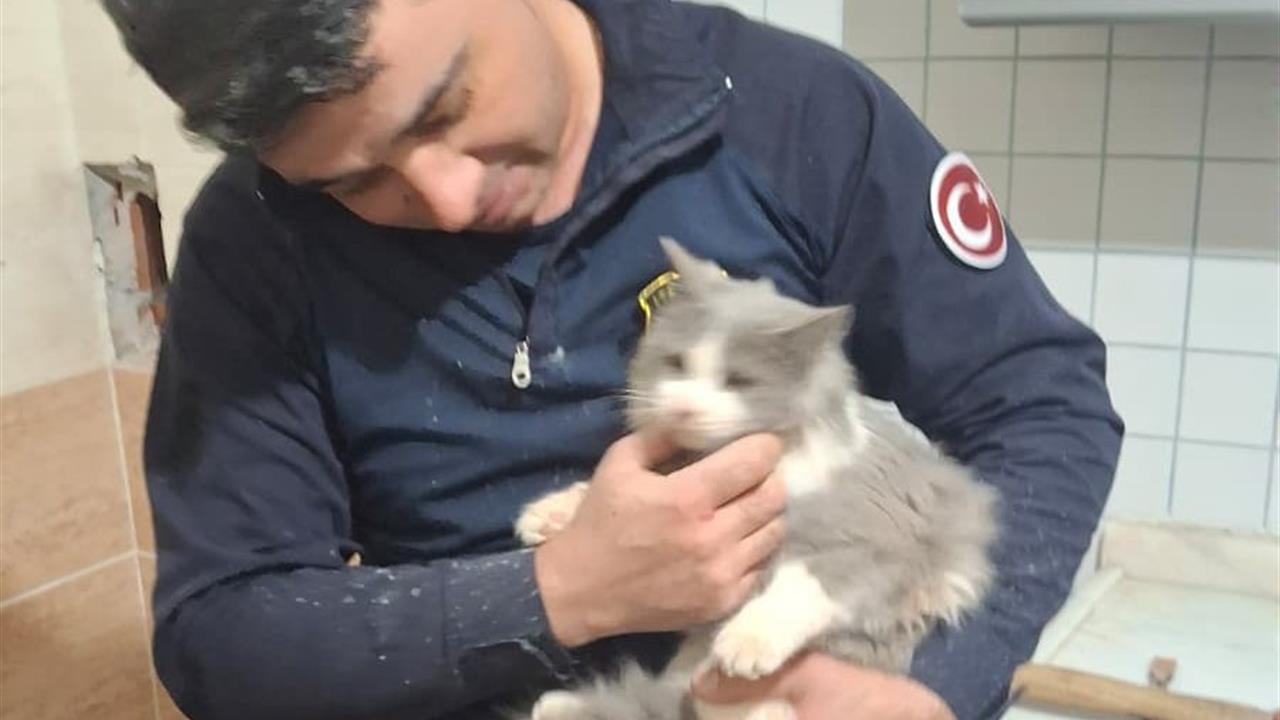 Malatya Battalgazi'de Havalandırma Boşluğunda Sıkışan Kedi Kurtarıldı