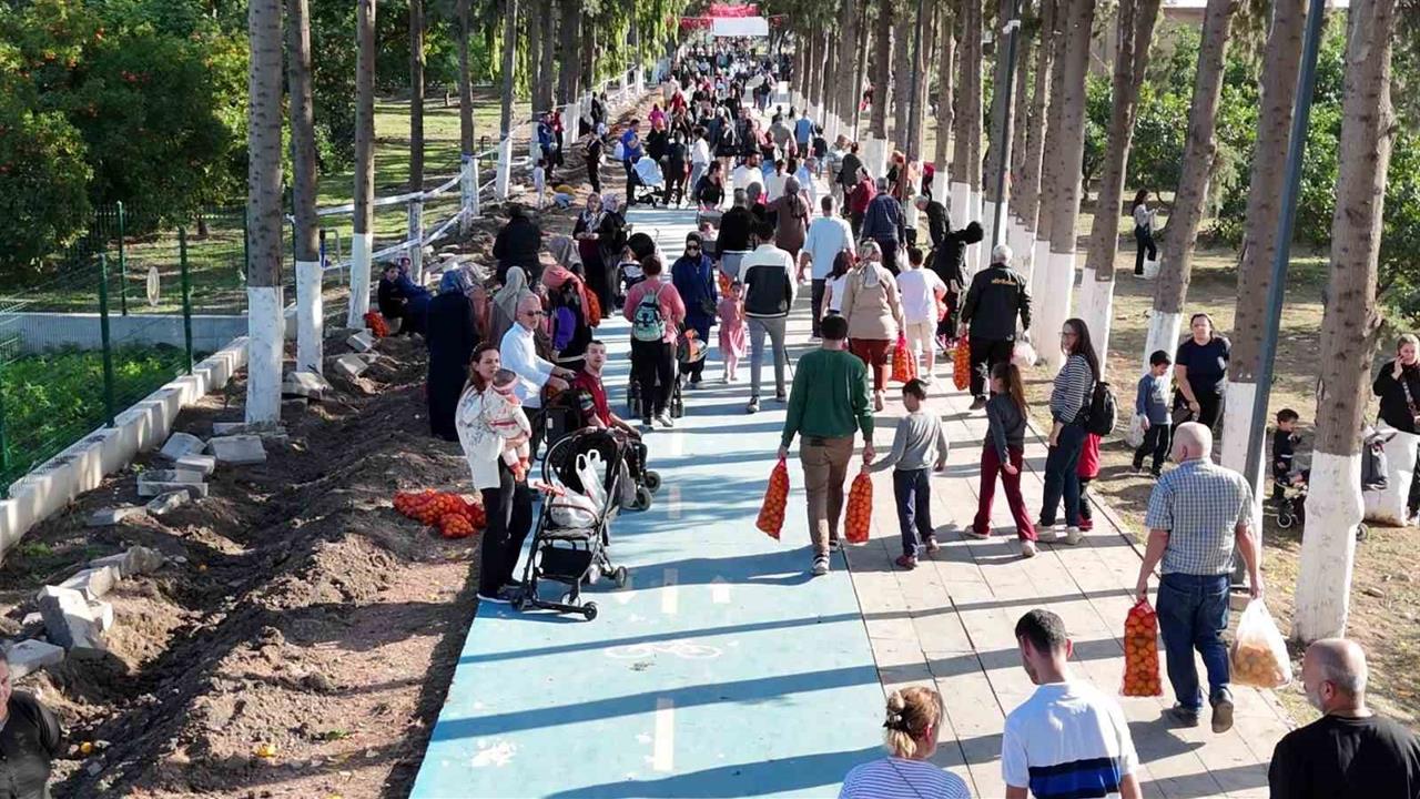 Hatay İskenderun'da Narenciye Festivali'nde Vatandaşlar Ücretsiz Meyve Topladı