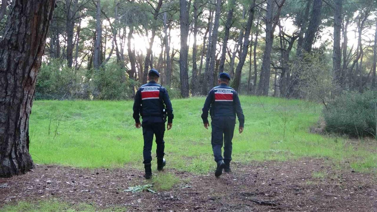 Antalya'da Ormanlık Alanlarda Jandarma Denetimleri ve Uyarıları Devam Ediyor