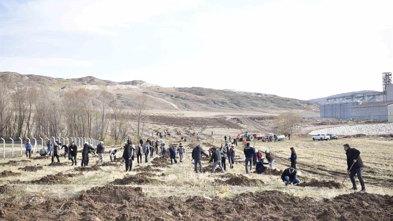 Sivas Organize Sanayi Bölgesi'nde Fidan Dikim Etkinliği Gerçekleşti