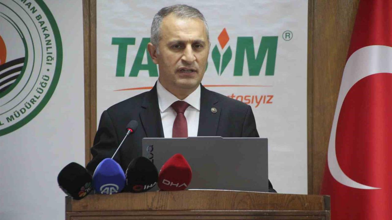 Ordu'da 16 Bin 750 Ton Bal Üretimiyle Türkiye'de Birinci Sırada