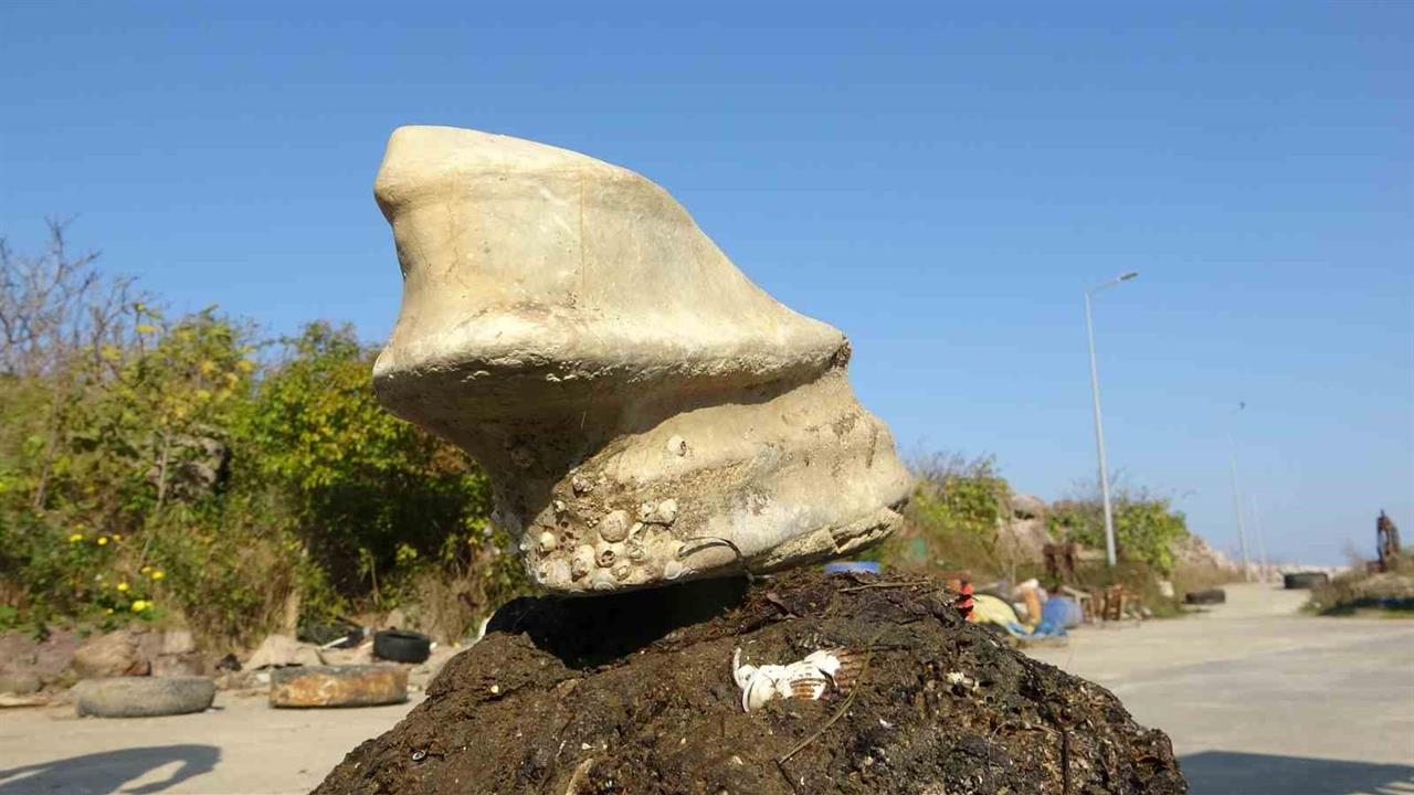 Giresun Bulancak'ta Balıkçılar, Denizde Buldukları Cisimle Şaşkınlık Yaşadı