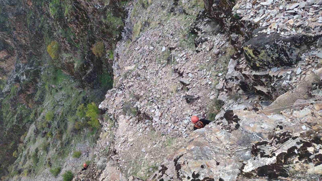 Kahramanmaraş Onikişubat'ta Kayalıklarda Mahsur Kalan 5 Keçi İtfaiye Ekipleri Tarafından Kurtarıldı