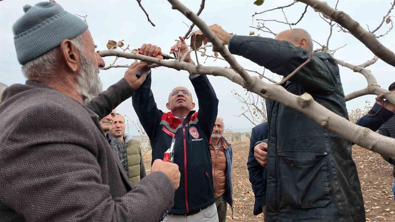 Siirt'te Fıstık Üreticilerine Budama ve Gübreleme Eğitimi Düzenlendi