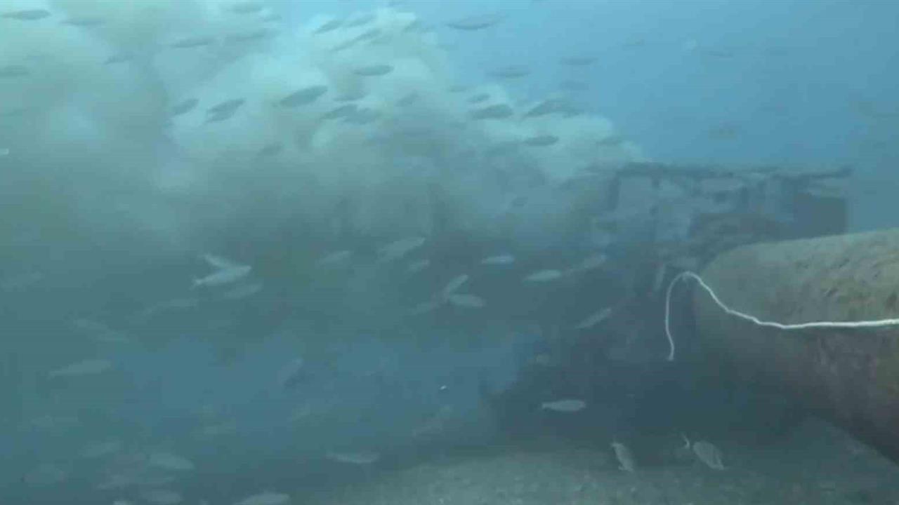 Çanakkale Kepez Açıklarında Dalgıç Müjdat Turan, Boğaza Dökülen Atık Su Görüntüledi