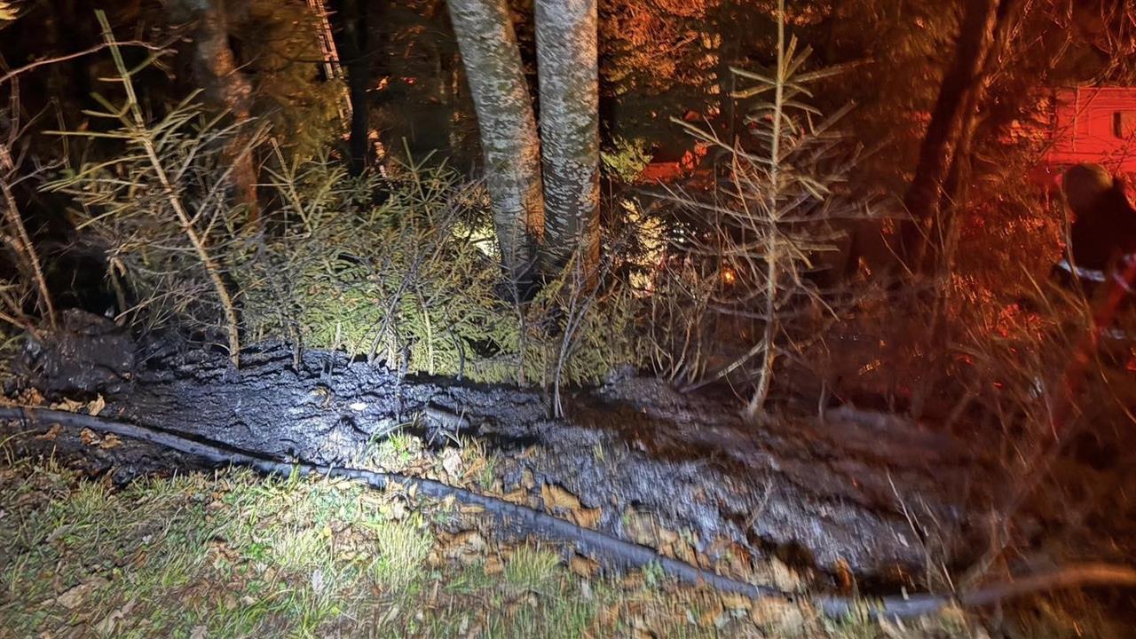 Artvin Merkez Ortaköy'de Zirai Alanda Çıkan Yangın Kısa Sürede Söndürüldü