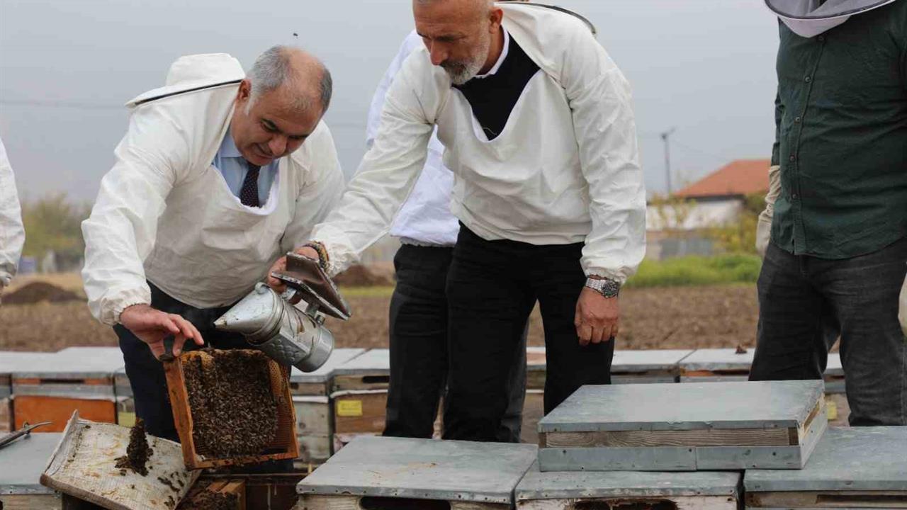 Elazığ'da Arı Kovanları Üzerinde Yapılan İncelemede Kış Hazırlıkları Gözlemlendi