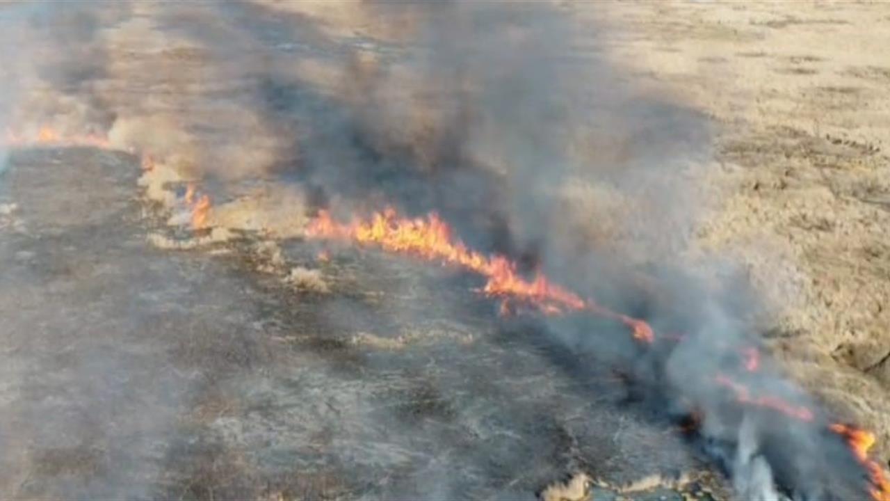 Van Özalp'ta Çırak Sazlığı'nda Yangın Çıkınca İtfaiye Ekipleri Olay Yerine Sevk Edildi