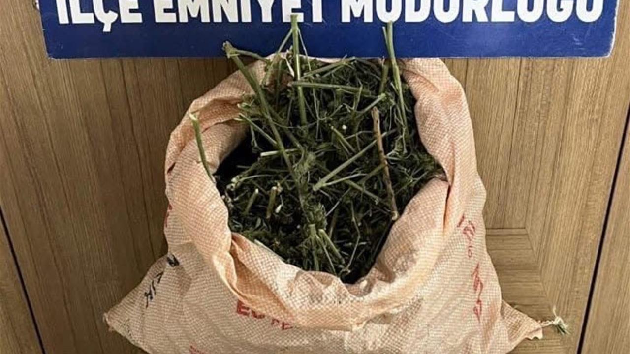 Siirt Kurtalan'da Polisin Durdurmak İstediği Araçta Uyuşturucu Bulundu