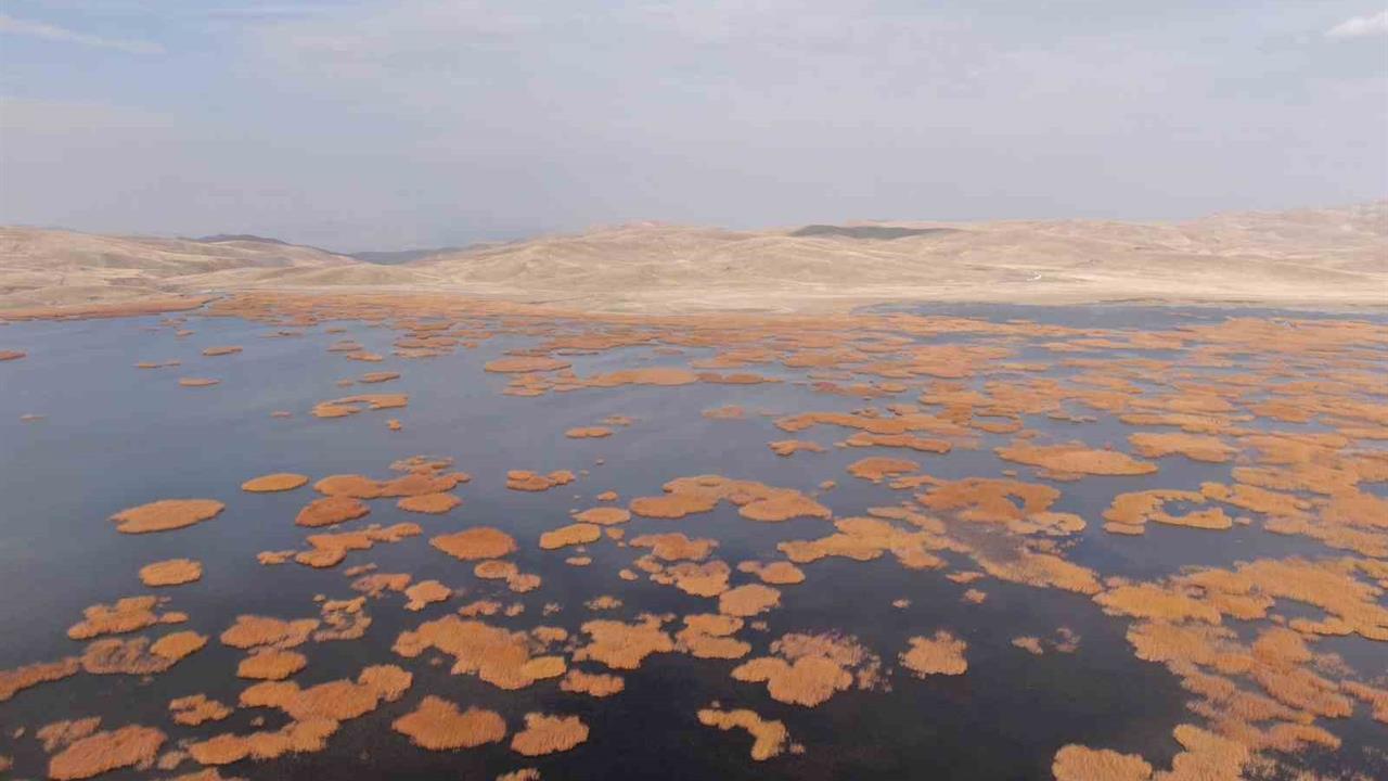 Van'da Sonbaharın Son Günlerinde Tarihi ve Doğanın Buluşmasıyla Eşsiz Görüntüler Ortaya Çıktı