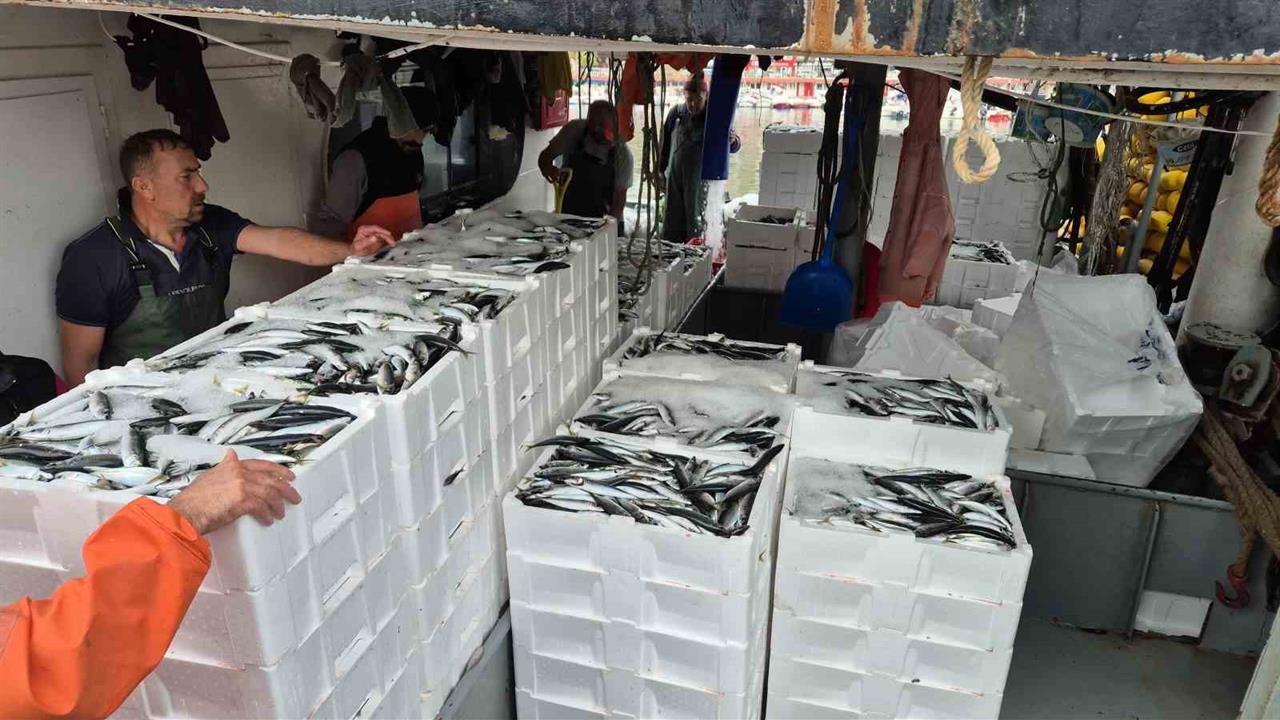 Tekirdağ Süleymanpaşa'da Balıkçılar 600 Kasa Balıkla Limana Döndü