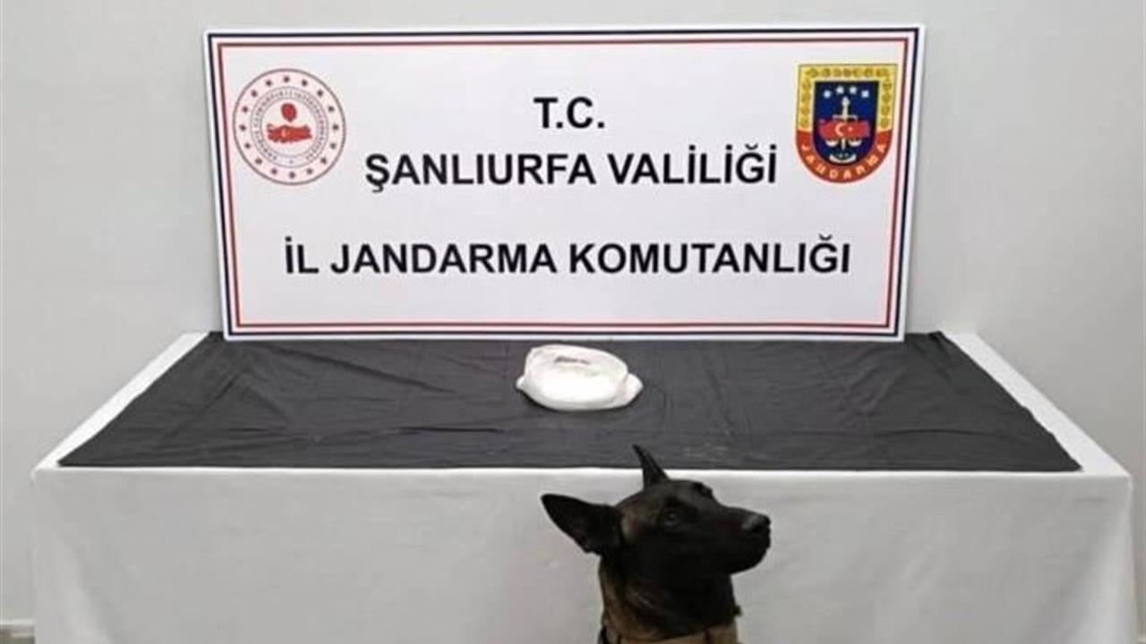 Şanlıurfa Haliliye'de Jandarma Ekiplerinin Düzenlediği Operasyonda 2 Gözaltı